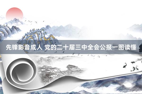 先锋影音成人 党的二十届三中全会公报一图读懂