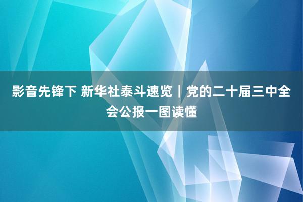 影音先锋下 新华社泰斗速览｜党的二十届三中全会公报一图读懂