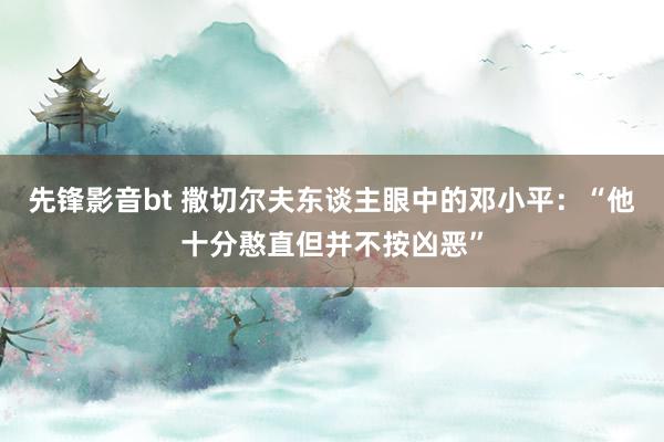 先锋影音bt 撒切尔夫东谈主眼中的邓小平：“他十分憨直但并不按凶恶”