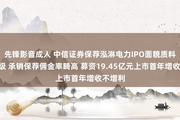 先锋影音成人 中信证券保荐泓淋电力IPO面貌质料评级D级 承销保荐佣金率畸高 募资19.45亿元上市首年增收不增利