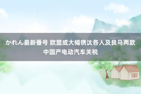 かれん最新番号 欧盟或大幅镌汰各人及良马两款中国产电动汽车关税