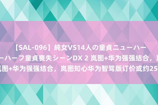 【SAL-096】純女VS14人の童貞ニューハーフ 二度と見れないニューハーフ童貞喪失シーンDX 2 岚图+华为强强结合，岚图知心华为智驾版订价或约25万元