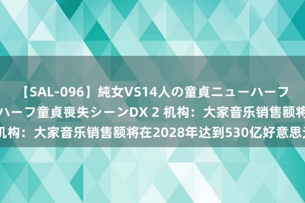 【SAL-096】純女VS14人の童貞ニューハーフ 二度と見れないニューハーフ童貞喪失シーンDX 2 机构：大家音乐销售额将在2028年达到530亿好意思元