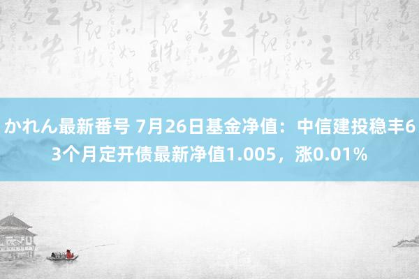 かれん最新番号 7月26日基金净值：中信建投稳丰63个月定开债最新净值1.005，涨0.01%