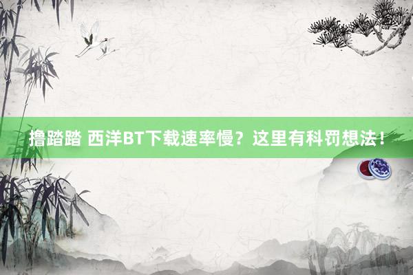 撸踏踏 西洋BT下载速率慢？这里有科罚想法！