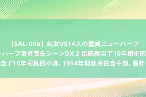 【SAL-096】純女VS14人の童貞ニューハーフ 二度と見れないニューハーフ童貞喪失シーンDX 2 给陈毅当了10年司机的小陈, 1954年调到所在当干部, 是什么级别?