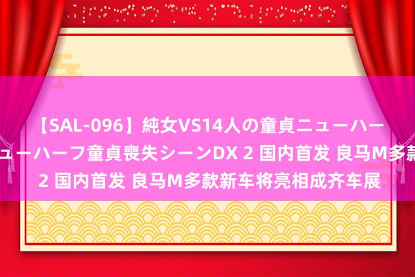 【SAL-096】純女VS14人の童貞ニューハーフ 二度と見れないニューハーフ童貞喪失シーンDX 2 国内首发 良马M多款新车将亮相成齐车展