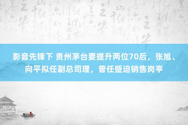 影音先锋下 贵州茅台要提升两位70后，张旭、向平拟任副总司理，曾任蹙迫销售岗亭