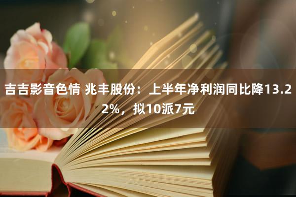 吉吉影音色情 兆丰股份：上半年净利润同比降13.22%，拟10派7元