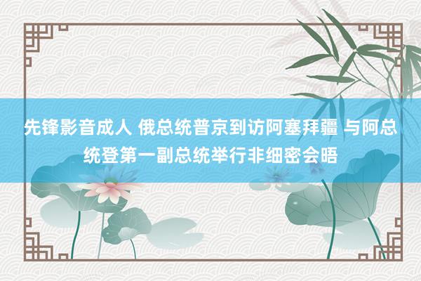 先锋影音成人 俄总统普京到访阿塞拜疆 与阿总统登第一副总统举行非细密会晤