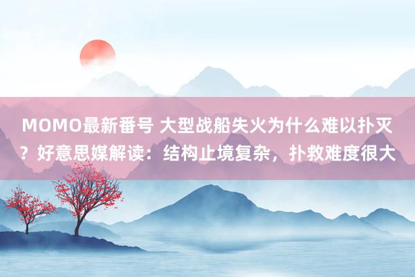 MOMO最新番号 大型战船失火为什么难以扑灭？好意思媒解读：结构止境复杂，扑救难度很大