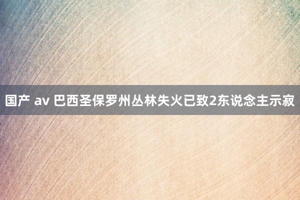 国产 av 巴西圣保罗州丛林失火已致2东说念主示寂